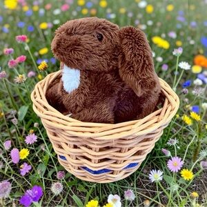 American Girl Doll Julie Albright Pet Bunny Nutmeg First Edition RETIRED